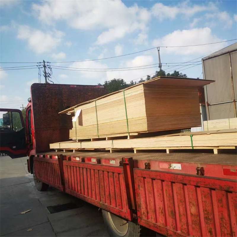 江西南昌新建县至塔城货运专线，一站式物流服务助您成功